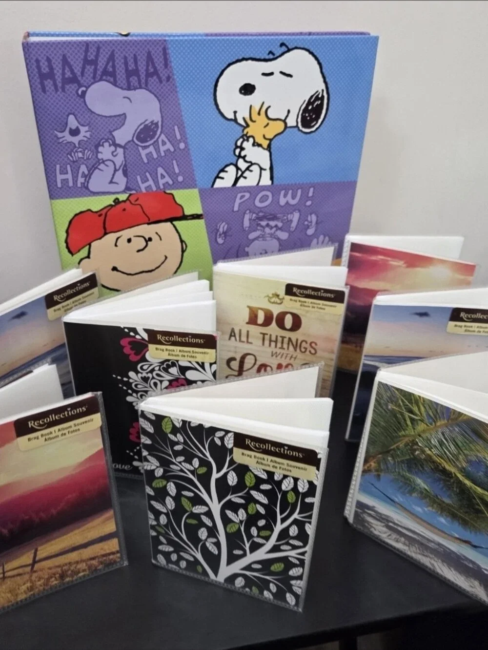Hallmark Peanuts Snoopy Photo Binder & Brag Book Lot